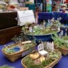 Farmer’s Market IMG-20140909-WA0001