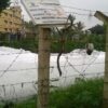 Varthur Lake Update 1524301_936277149733510_3768087783456767629_o