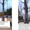 BESCOM TRIMS ELECTRIC POLES THROGHTUT WHITEFIELD TO PREVENT COLLISIONS WITH PEDESTRIANS. 10298765_847361731995869_8907860113843196991_n