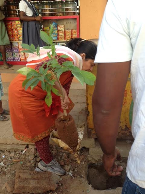 Gopi’s Trees