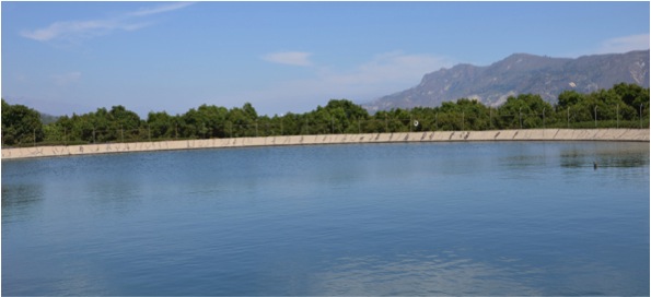 Empowered Citizens: Munnekolala Lake Tree Planting