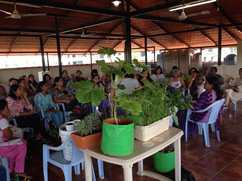 Kitchen Gardening the latest new trend