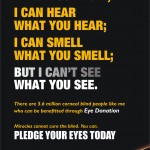 Pledge Your Eyes