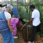 Hundreds of saplings planted around lake in Whitefield